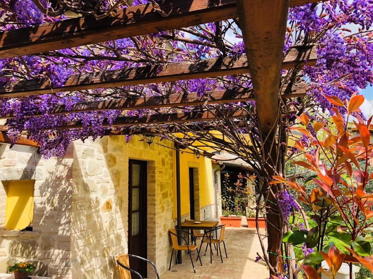 Il Cortile Delle Rose Holiday House Перуджа Екстер'єр фото